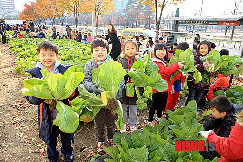 만든곳: 한국 네티즌본부 카페