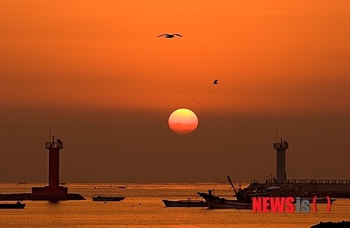 마량포 해넘이.해돋이 축제