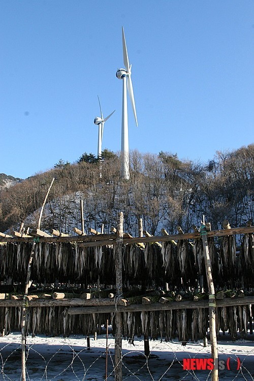 바람이 명작 황태