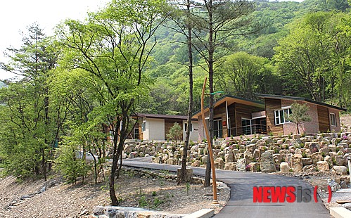 영월군, 자연휴양림 망경대산 인기 짱