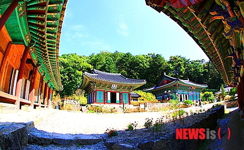 홍천군 공작산 힐링마을, 정보화마을 도전장