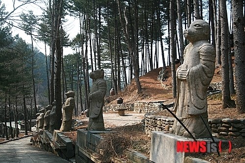 옛돌의 정취 수목원 프로방스 캠핑장