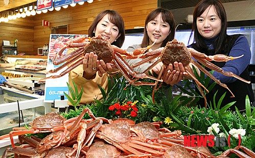 동해 대게 제철 맞아 서울나들이