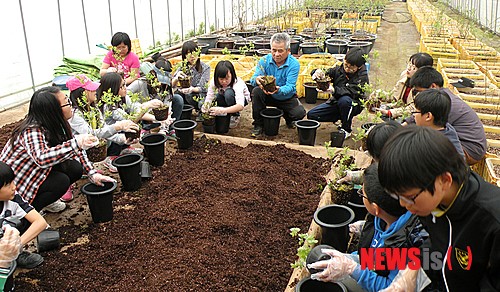서산 블루베리 농장 체험 인기