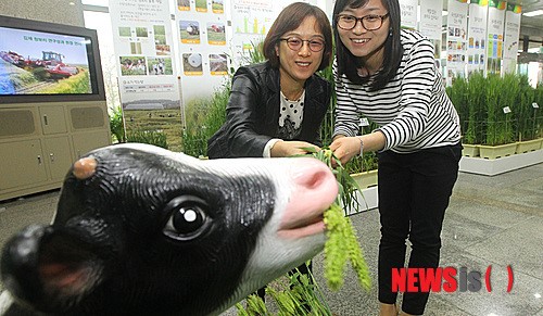 겨울 식량작물, 보리와 밀 이야기 특별전시회