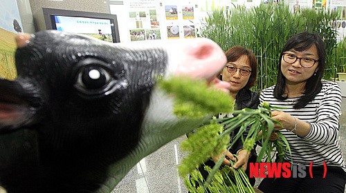 겨울 식량작물, 보리와 밀 이야기 특별전시회