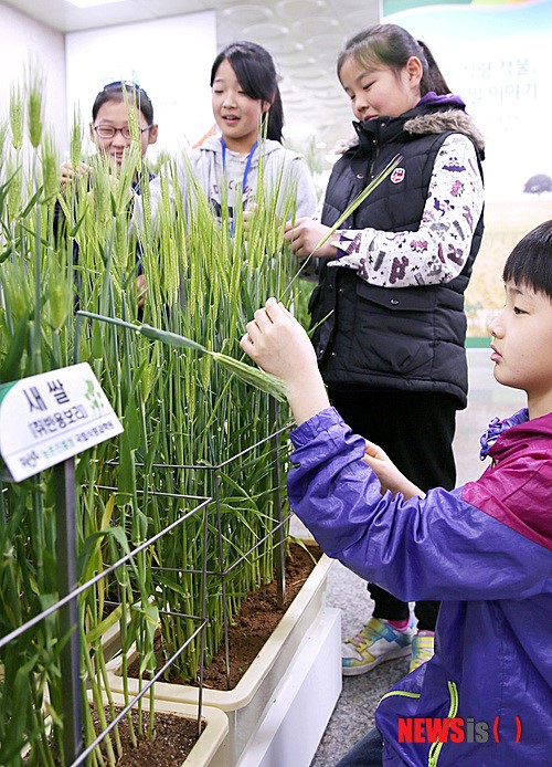 겨울 식량작물, 보리와 밀 이야기 특별전시회