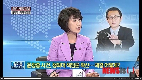 정미홍, 성추행 윤창중 비호 발언 논란