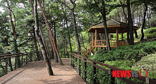 춘천 대룡산·금병산 산림욕장 올 7월 새단장