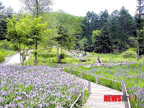일상이 축제인 이곳 국립유명산자연휴양림