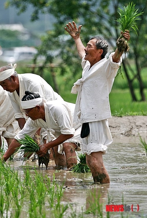 새참 먹고 합시다