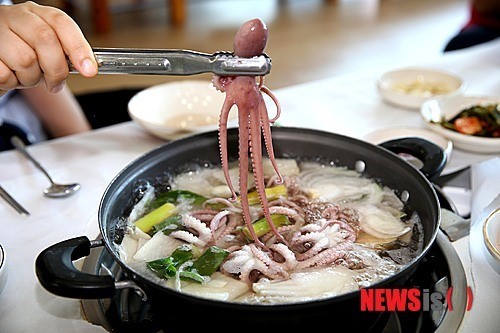 태안 세발낙지잡이 한창