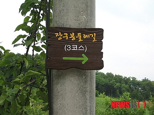원주시 우산동 장구봉 둘레길 걷기대회 코스 정비