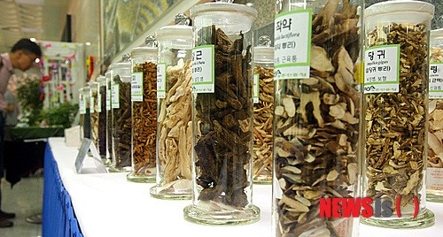 토종약초 신기해요!
