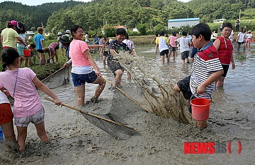 태안 매화둠벙마을 ‘외갓집 여름 체험학교’ 인기