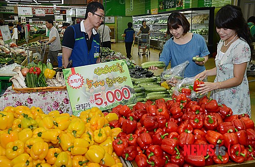 신선 채소 골라 담아 5가지 5000원
