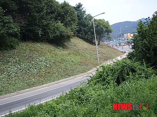 경기도, 도로변 칡 등 덩굴류 집중 제거