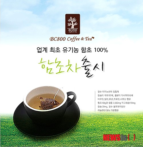 커피프랜차이즈 BC800, 현대인을 위한 함초차 출시 예정