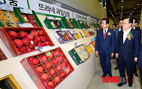 안성농식품물류센터 둘러보는 최원병 농협 회장