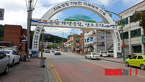 태백시, 불법 게릴라성 유동광고물 정비