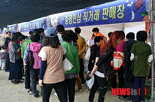 붐비는 증평인삼 직판장