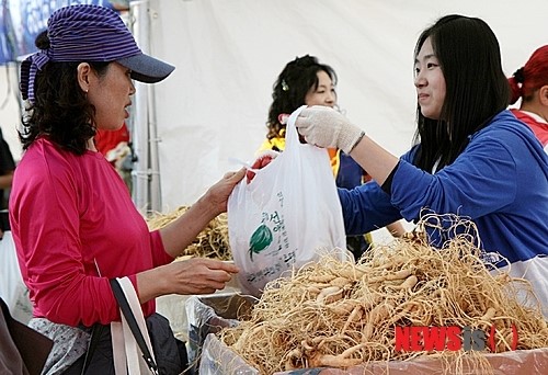 인삼과 홍삼포크 조화 이룬 증평인삼골축제 성료