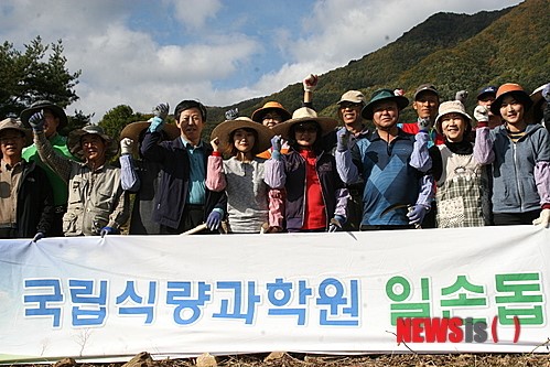 일손 돕기에 나선 국립식량과학원 직원