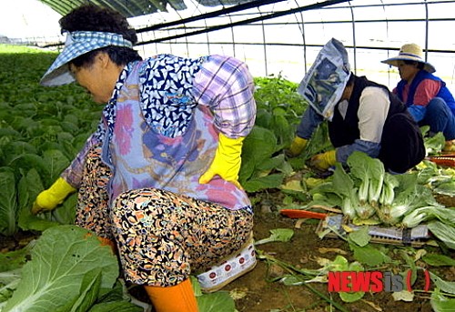 화천군 농부증 예방·치료 교육