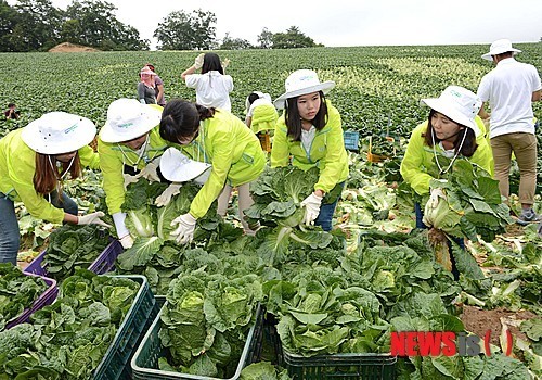 강원도 지역 농산물 유통활성화 방안모색