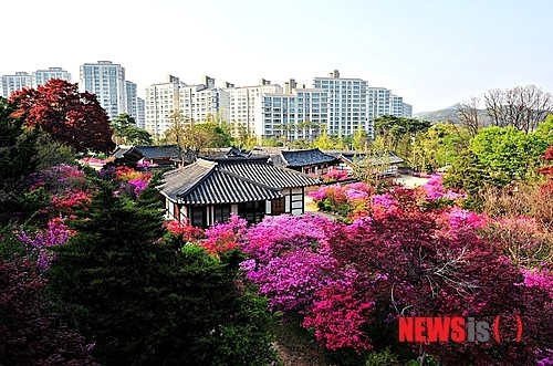 계룡시, 道지정문화재 ‘사계고택’ 기념물로 확대 지정