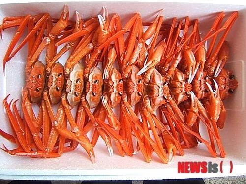 수산물 직거래쇼핑물 대게잡이…홍게 판매