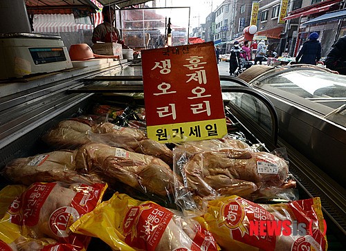 닭과 오리 원가세일