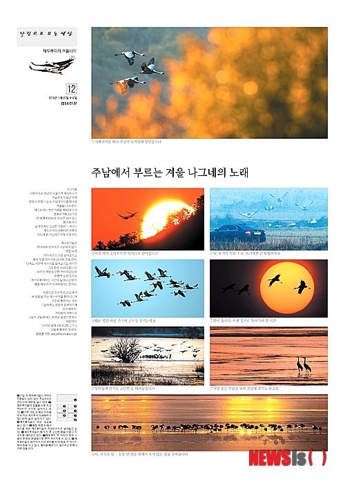 사진기자가 선정한 올해의 편집상, 주남에서 부르는 겨울 나그네의 노래