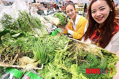 입맛 살리는 봄나물을 20% 저렴하게~