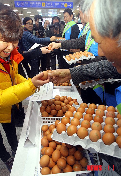 닭고기, 오리고기, 계란은 안전합니다!
