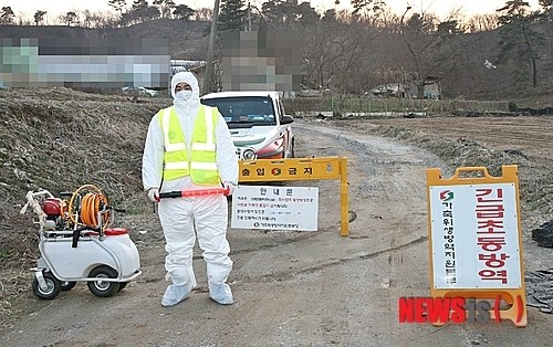 현재진행형 충북 AI…진천·음성·청원 이어 증평까지
