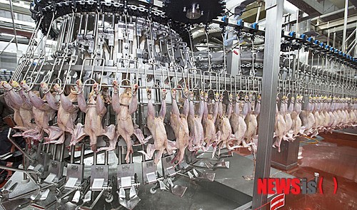코리아더커드, 계육사업 진출…5월 사계절 맛있는 닭 론칭