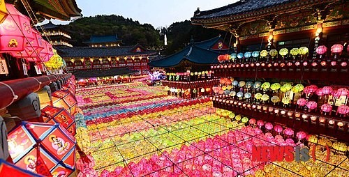 화려함 뽐내는 삼광사 연등