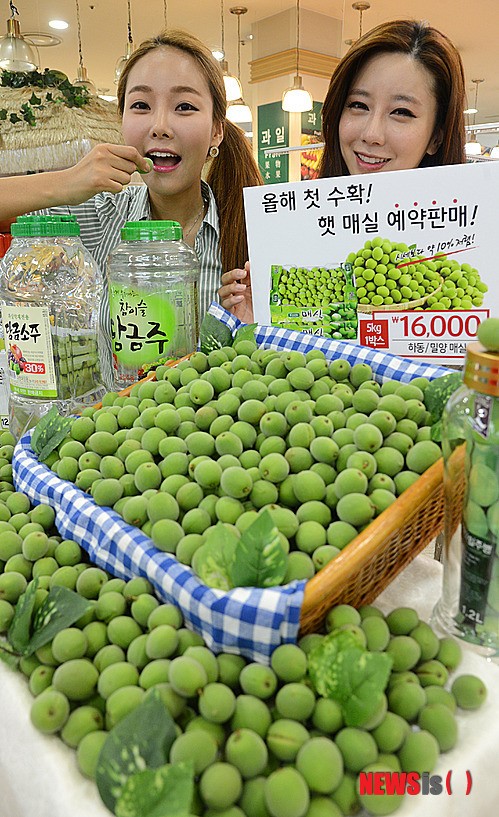 햇 매실 예약 판매합니다
