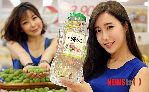 제철 맞은 매실과 담금전용 처음처럼으로 나만의 매실주를!