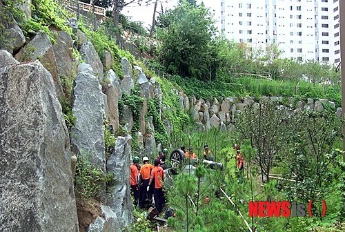 10m 언덕 아래 차량 추락…운전자 중상