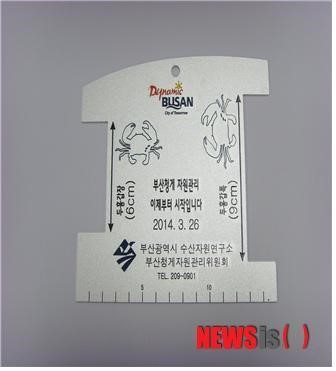 부산청게, 어업인 자율 자원관리 ‘명품 수산물’로 육성