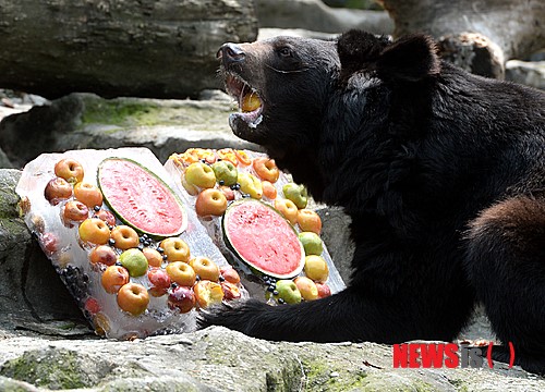 아라리 과일빙수 맛있어