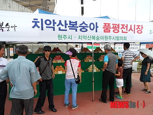 원주시, 23일 치악산 복숭아 축제