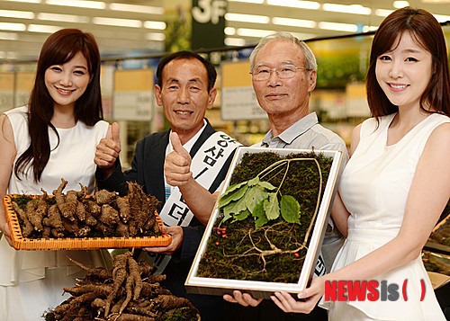 마트에서 만나는 고품질 산양삼과 산더덕