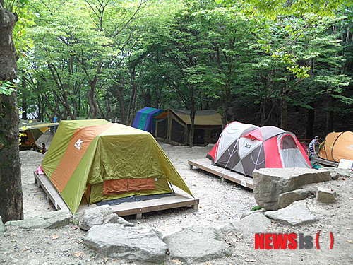 팔공산공원 야영장 모습