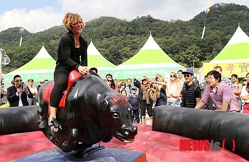횡성한우축제 로데오 게임