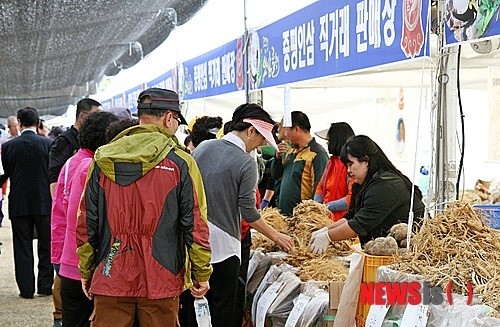 발길 몰리는 증평인삼 직판장