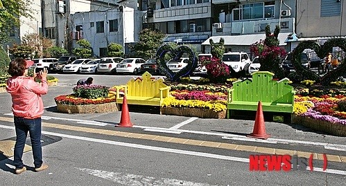 아름다운 국화 간직해야지
