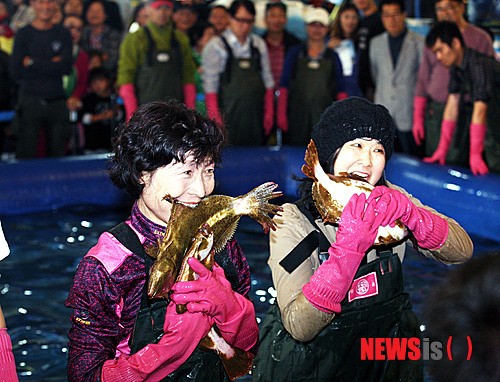 도심속 바다축제 활어 맨손잡기